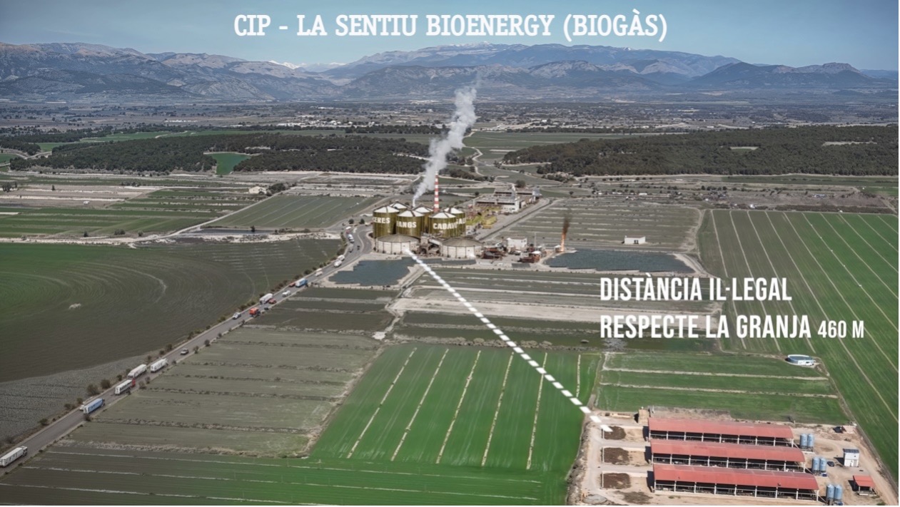Macrocentral de CIP i La Sentiu Bioenergy - render on s'observa que no respecta les distàncies de bioseguretat