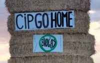 Campanya de demanada de la retirada del fons CIP del macrogàs de La Sentiu. Paques de palla amb missatge: 